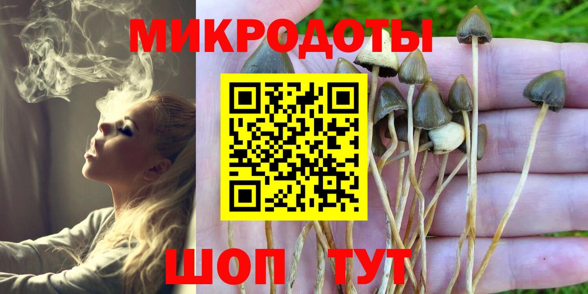 Галлюциногенные грибы Cubensis Магадан