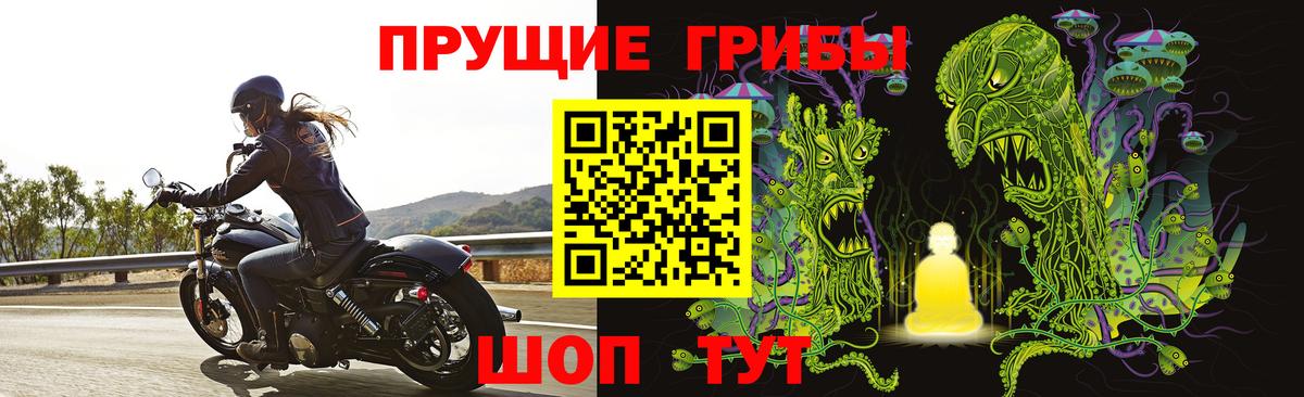 Галлюциногенные грибы прущие грибы  Псилоцибиновые грибы прущие грибы  Вход с VPN  наркота  Магадан 